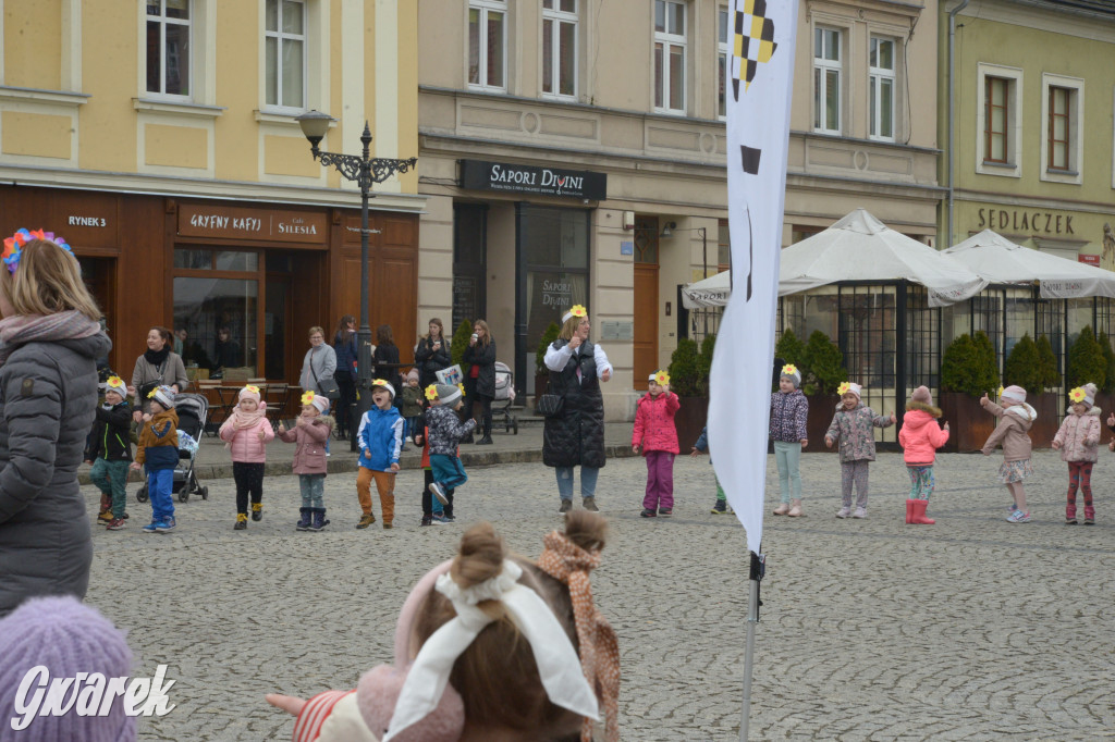 Tarnowskie Góry. Powitanie wiosny na rynku