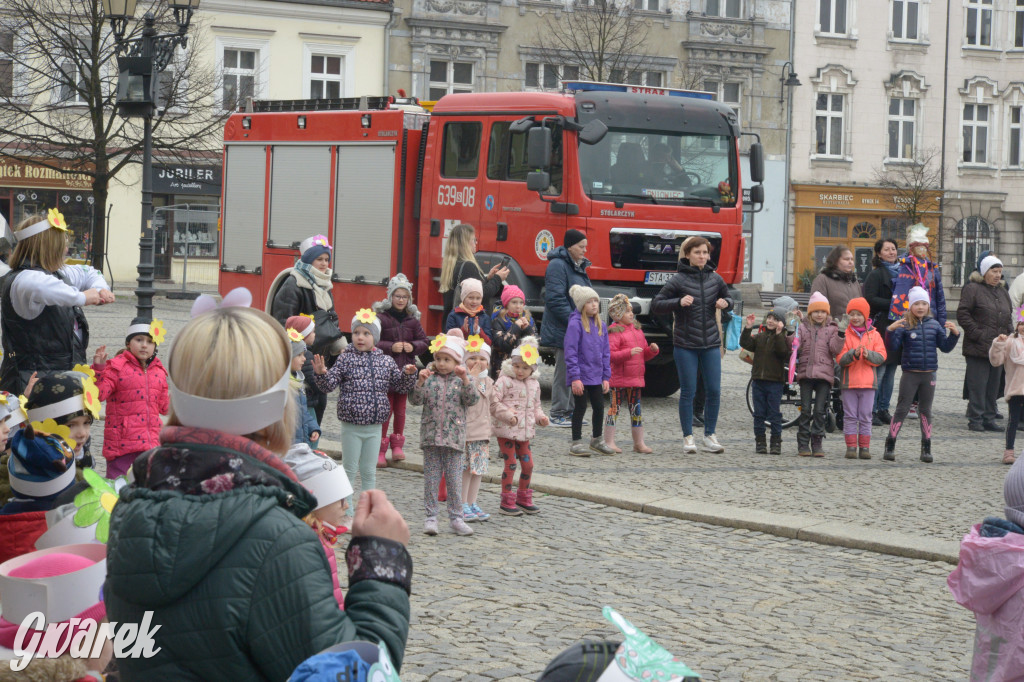 Tarnowskie Góry. Powitanie wiosny na rynku
