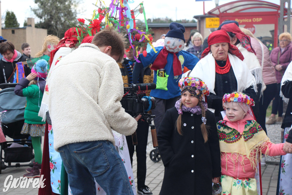 Topienie marzanny. Z pompą kultywują ten zwyczaj