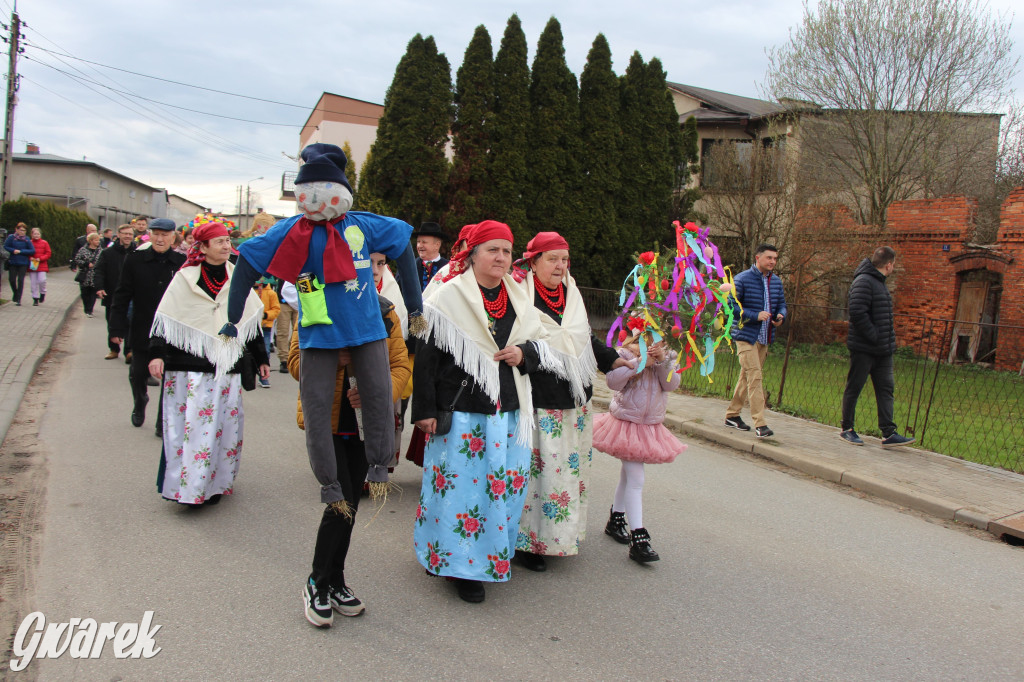 Topienie marzanny. Z pompą kultywują ten zwyczaj