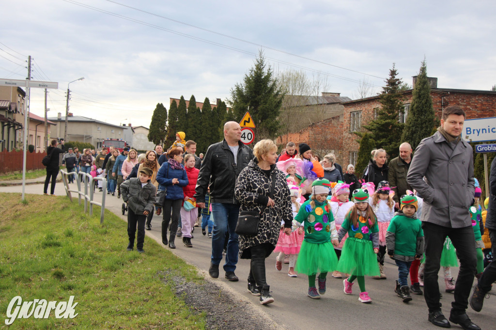 Topienie marzanny. Z pompą kultywują ten zwyczaj