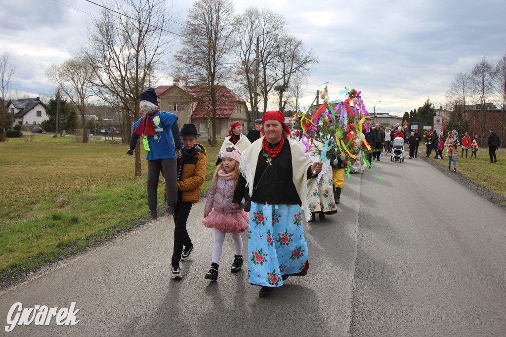 Topienie marzanny. Z pompą kultywują ten zwyczaj