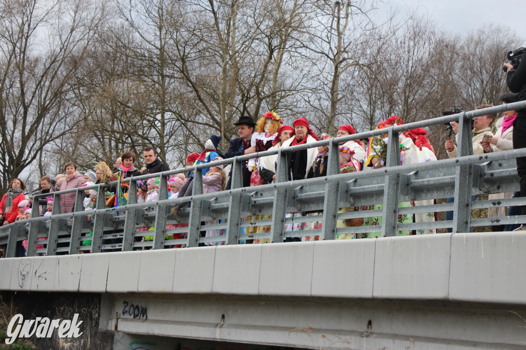 Topienie marzanny. Z pompą kultywują ten zwyczaj