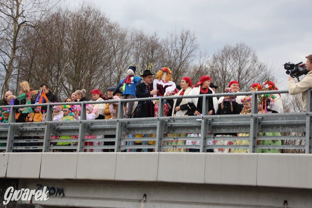 Topienie marzanny. Z pompą kultywują ten zwyczaj