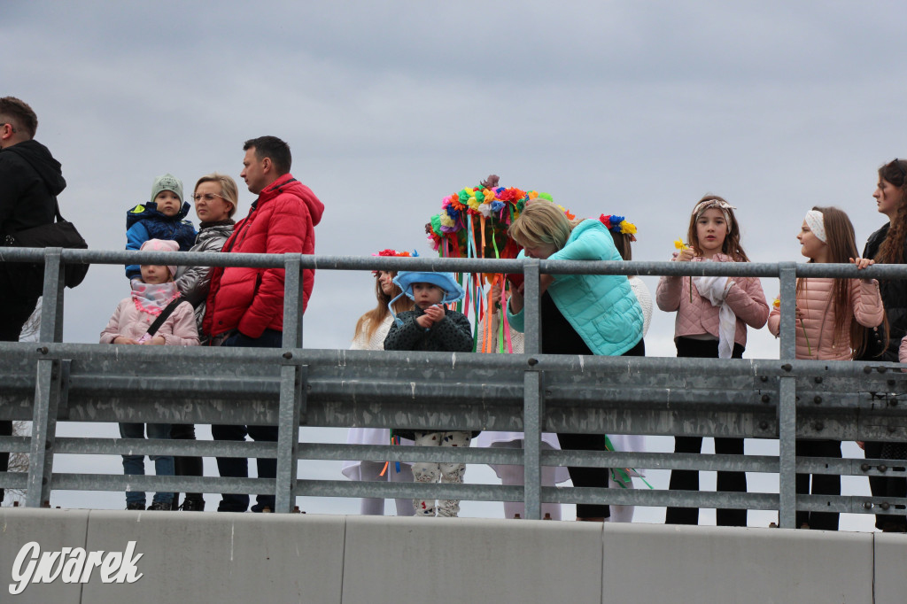 Topienie marzanny. Z pompą kultywują ten zwyczaj