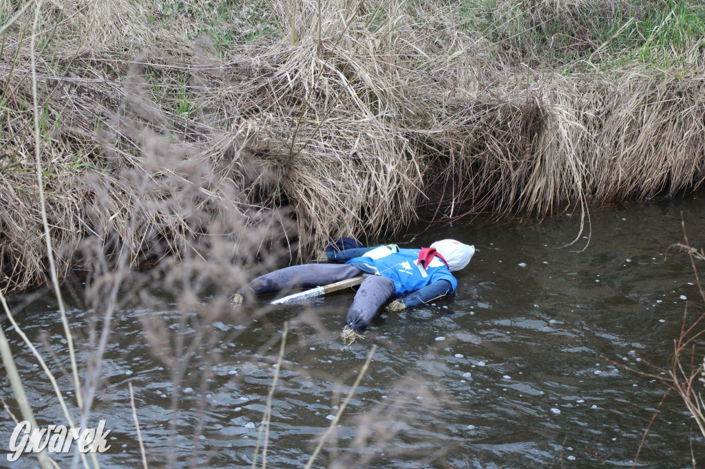 Topienie marzanny. Z pompą kultywują ten zwyczaj