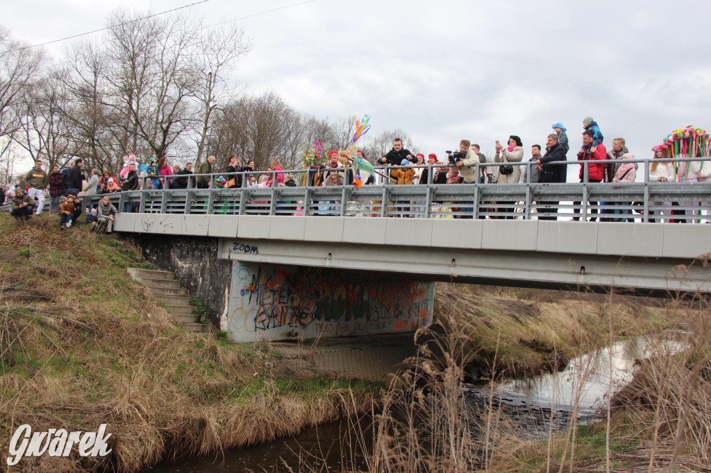 Topienie marzanny. Z pompą kultywują ten zwyczaj