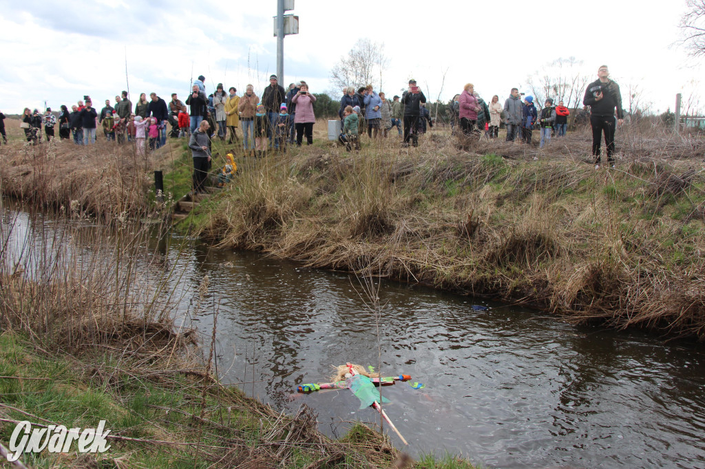 Topienie marzanny. Z pompą kultywują ten zwyczaj