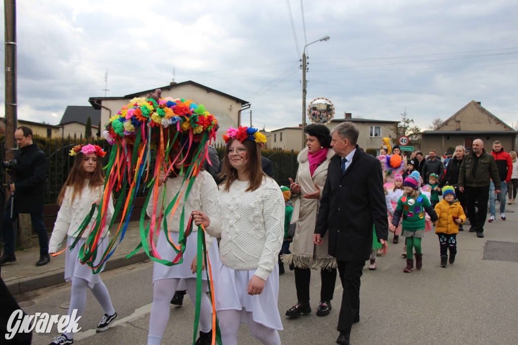Topienie marzanny. Z pompą kultywują ten zwyczaj