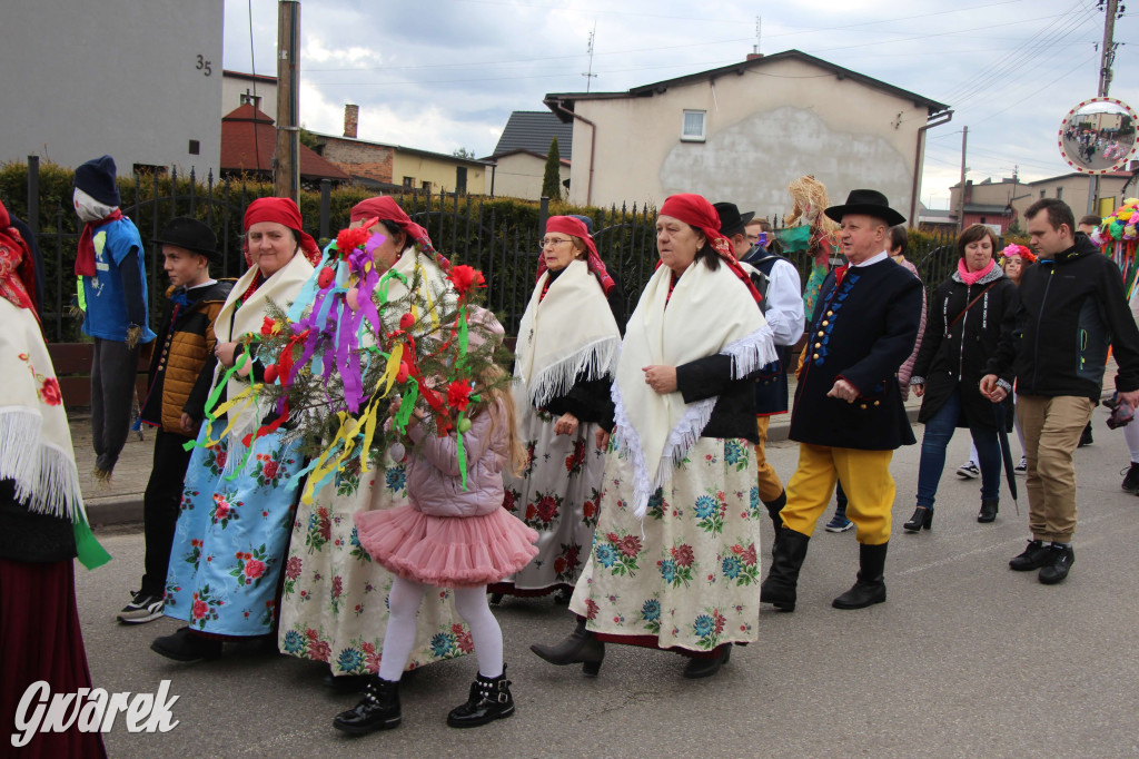 Topienie marzanny. Z pompą kultywują ten zwyczaj