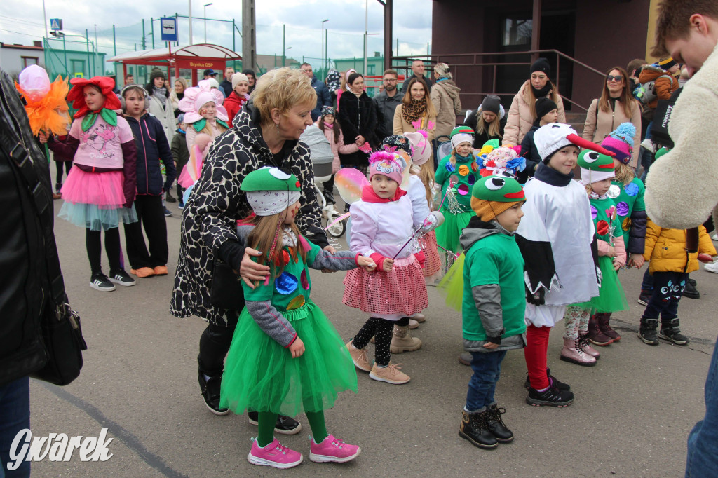 Topienie marzanny. Z pompą kultywują ten zwyczaj