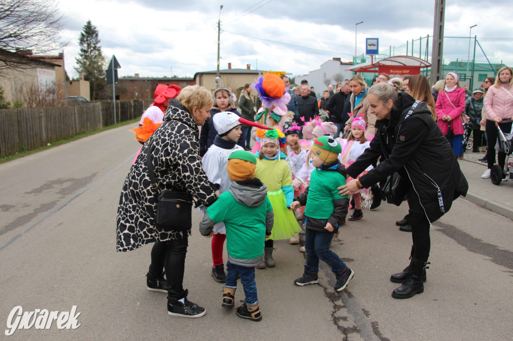 Topienie marzanny. Z pompą kultywują ten zwyczaj