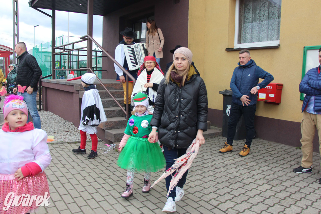 Topienie marzanny. Z pompą kultywują ten zwyczaj