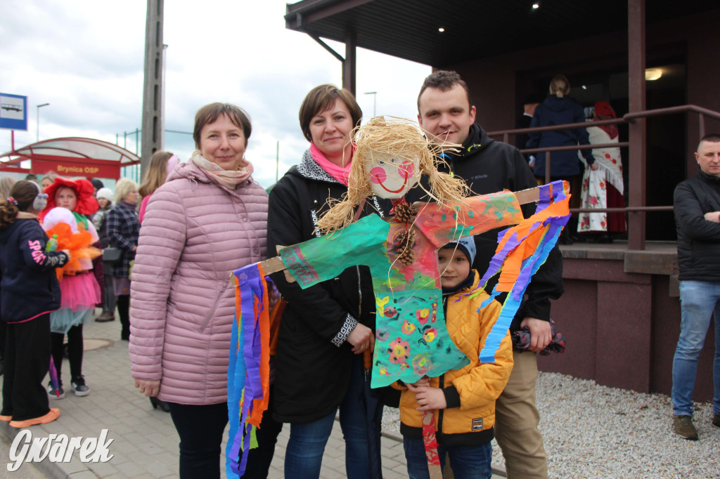 Topienie marzanny. Z pompą kultywują ten zwyczaj