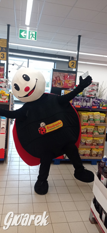 Tarnowskie Góry. Biedronka w centrum po remoncie