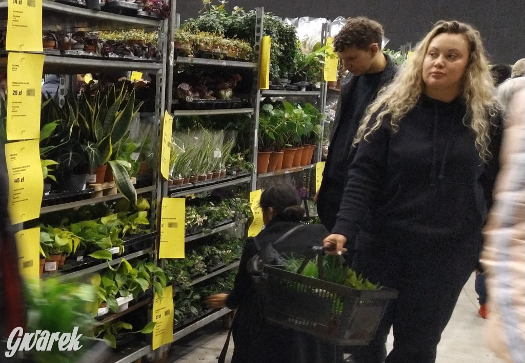 Tłumy na katowickim Festiwalu Roślin