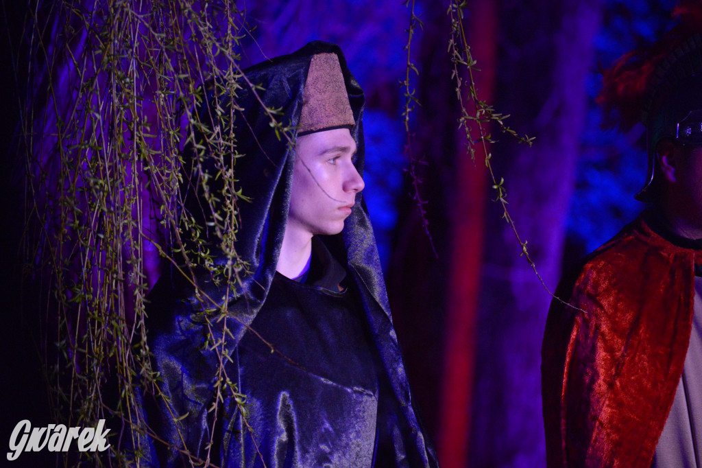 Miedary. Misterium Męki Pańskiej