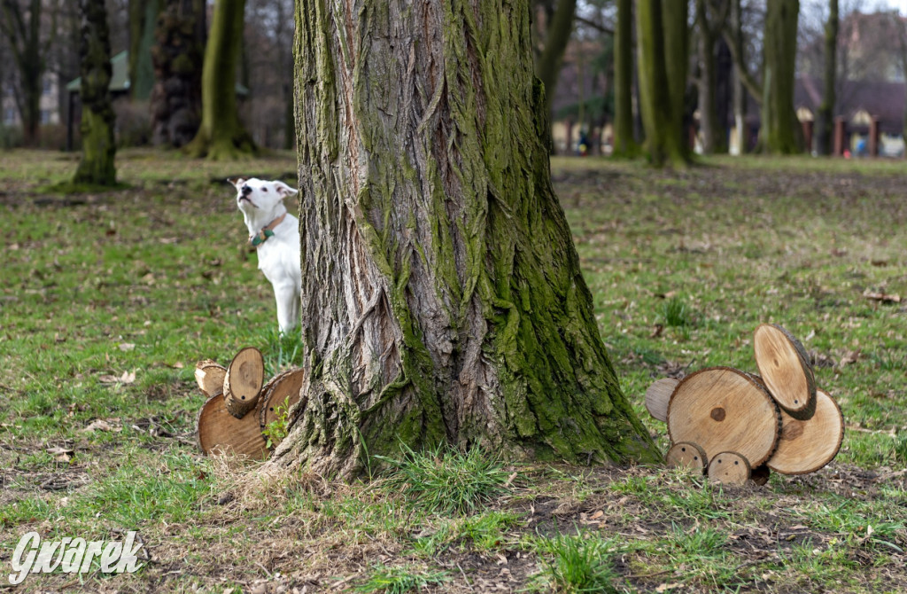 Miasto gotowe na święta. Wielkanocne ozdoby w 12 miejscach