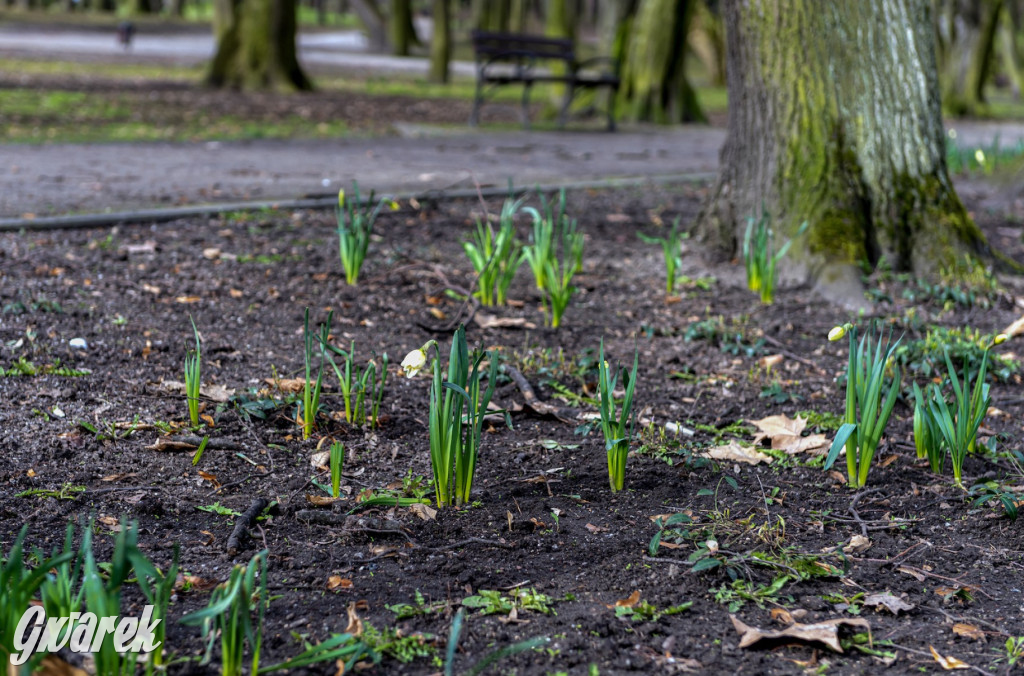 Miasto gotowe na święta. Wielkanocne ozdoby w 12 miejscach