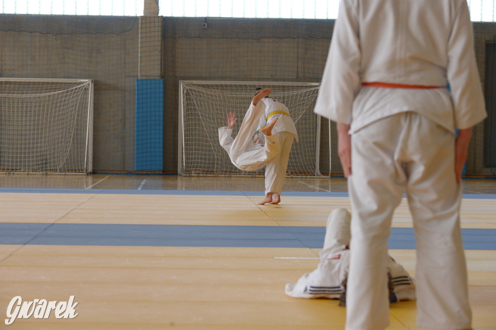 Tarnowskie Góry. Mistrzostwa Śląska Judo Kata