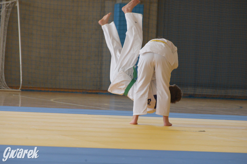 Tarnowskie Góry. Mistrzostwa Śląska Judo Kata