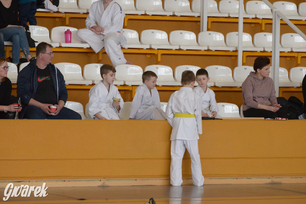 Tarnowskie Góry. Mistrzostwa Śląska Judo Kata