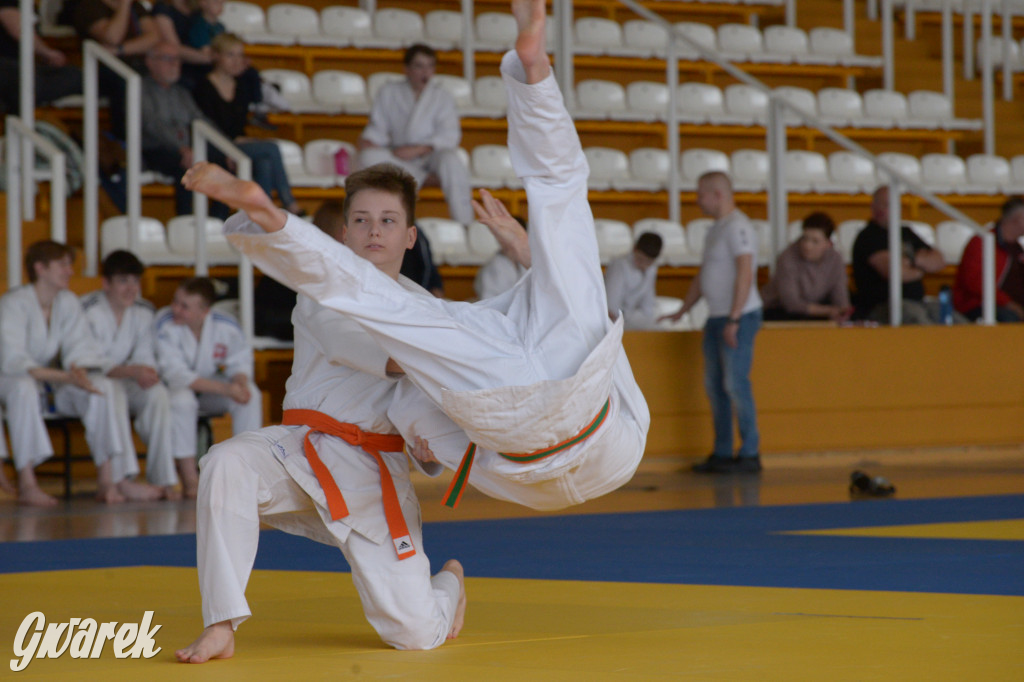 Tarnowskie Góry. Mistrzostwa Śląska Judo Kata