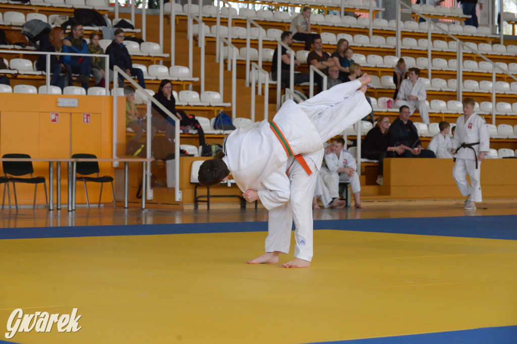 Tarnowskie Góry. Mistrzostwa Śląska Judo Kata