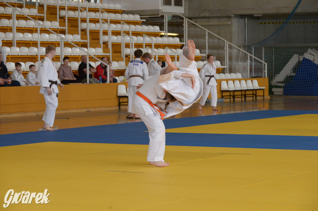 Tarnowskie Góry. Mistrzostwa Śląska Judo Kata