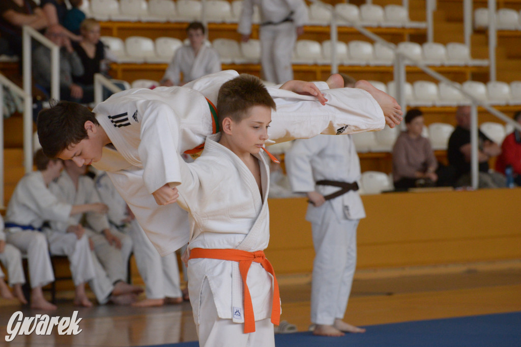 Tarnowskie Góry. Mistrzostwa Śląska Judo Kata