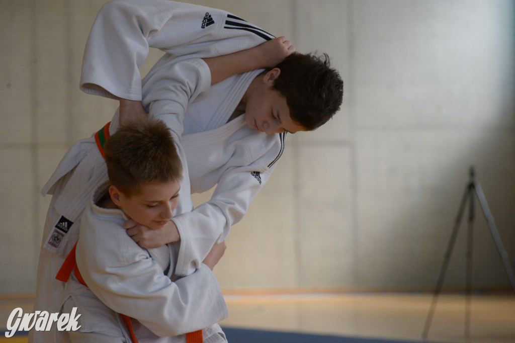 Tarnowskie Góry. Mistrzostwa Śląska Judo Kata