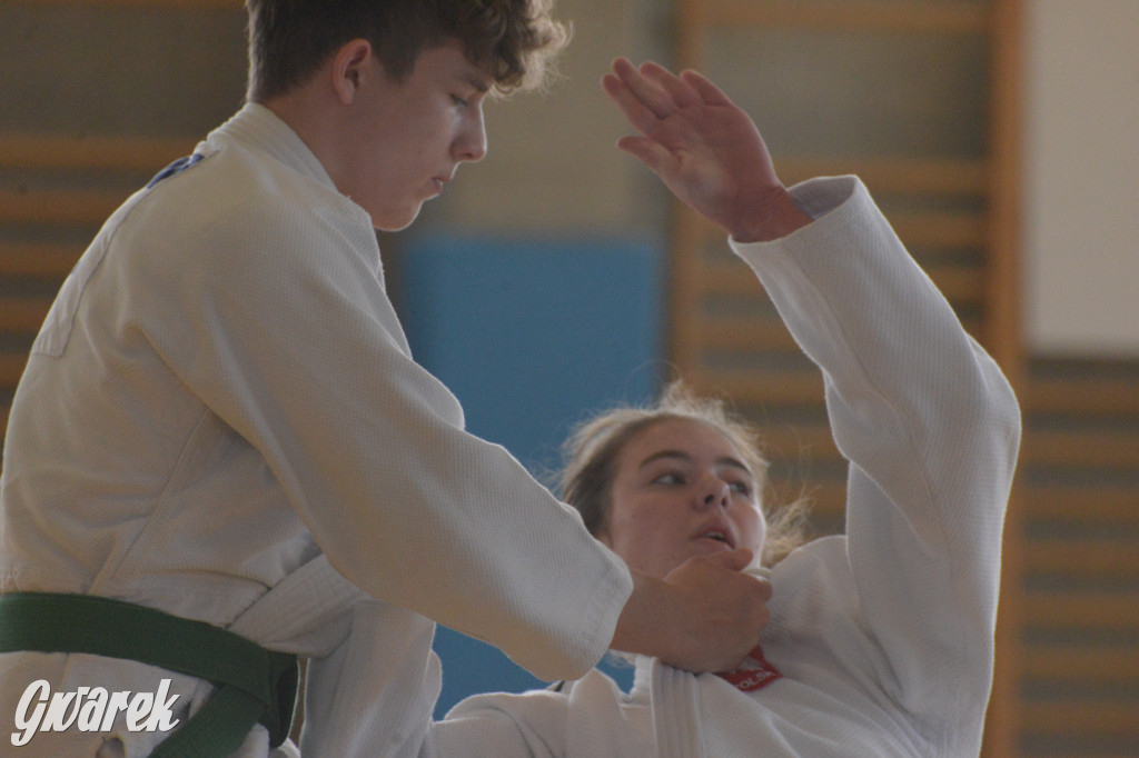 Tarnowskie Góry. Mistrzostwa Śląska Judo Kata