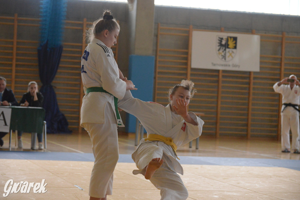 Tarnowskie Góry. Mistrzostwa Śląska Judo Kata