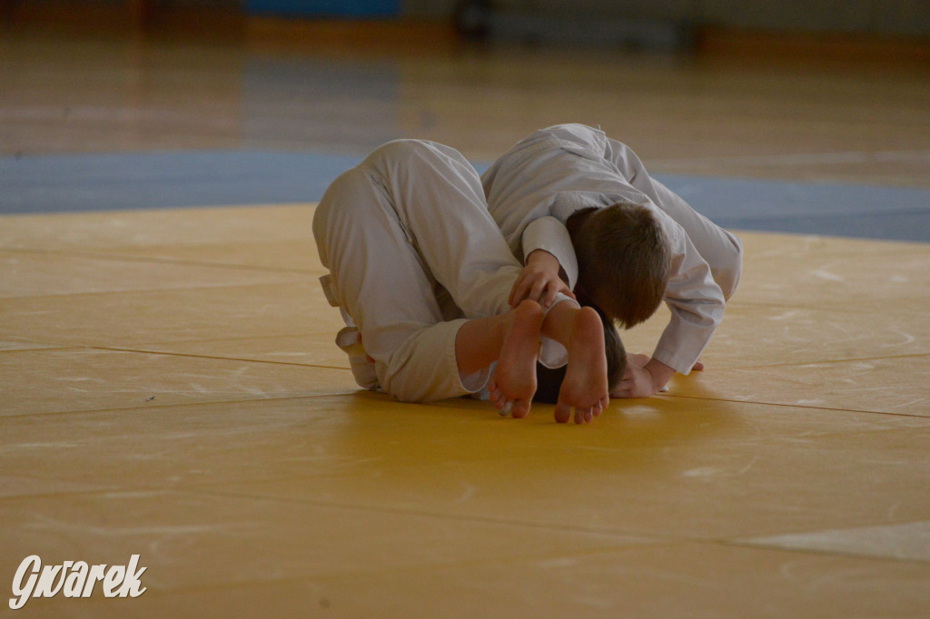 Tarnowskie Góry. Mistrzostwa Śląska Judo Kata