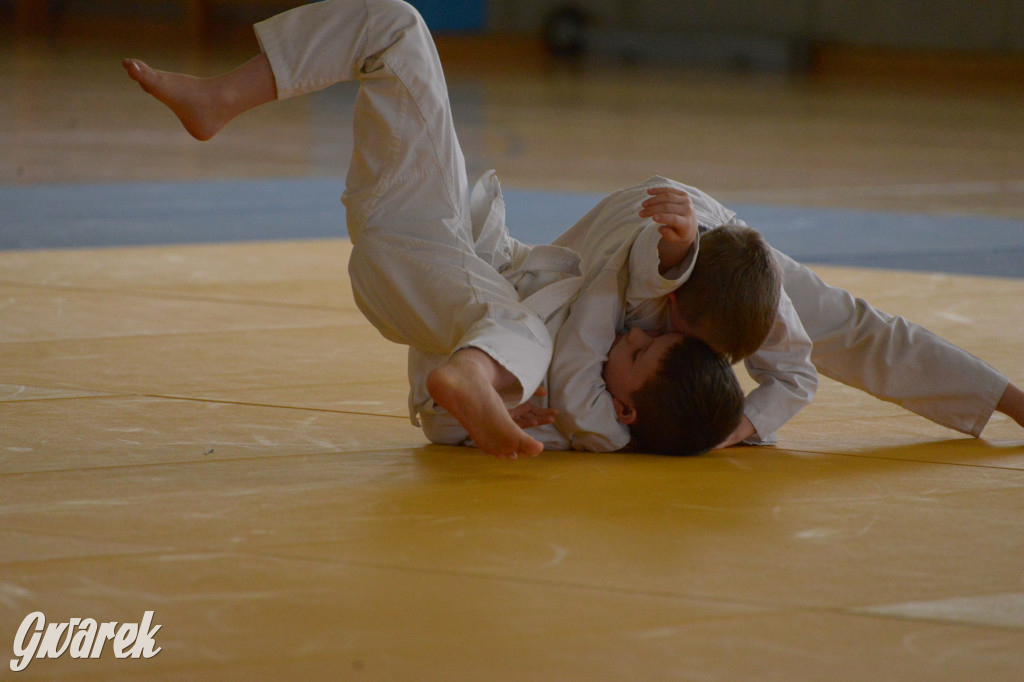 Tarnowskie Góry. Mistrzostwa Śląska Judo Kata