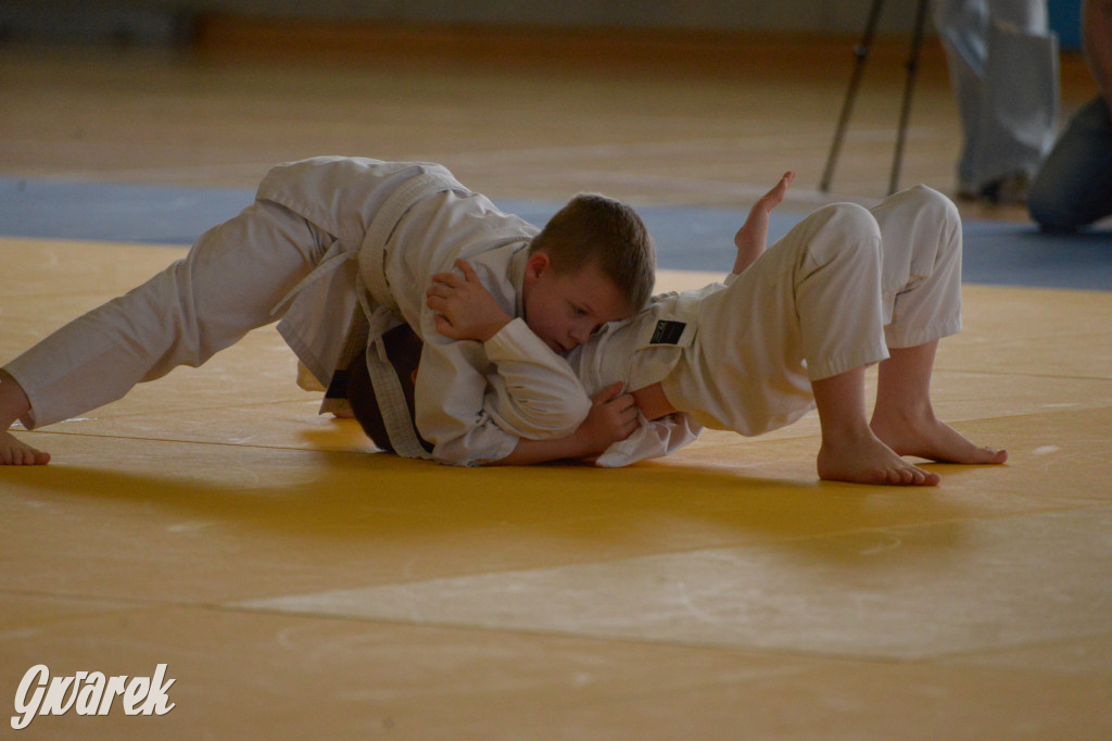 Tarnowskie Góry. Mistrzostwa Śląska Judo Kata