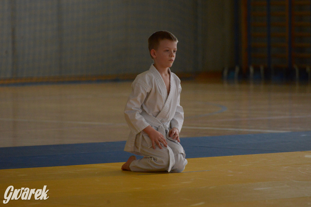 Tarnowskie Góry. Mistrzostwa Śląska Judo Kata