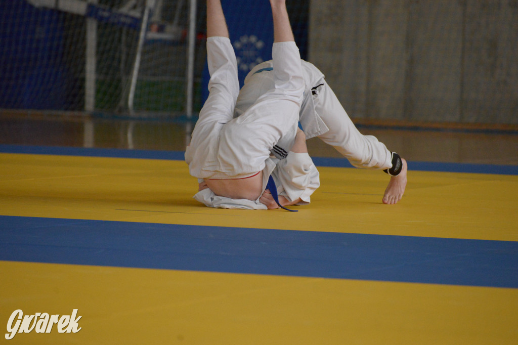 Tarnowskie Góry. Mistrzostwa Śląska Judo Kata