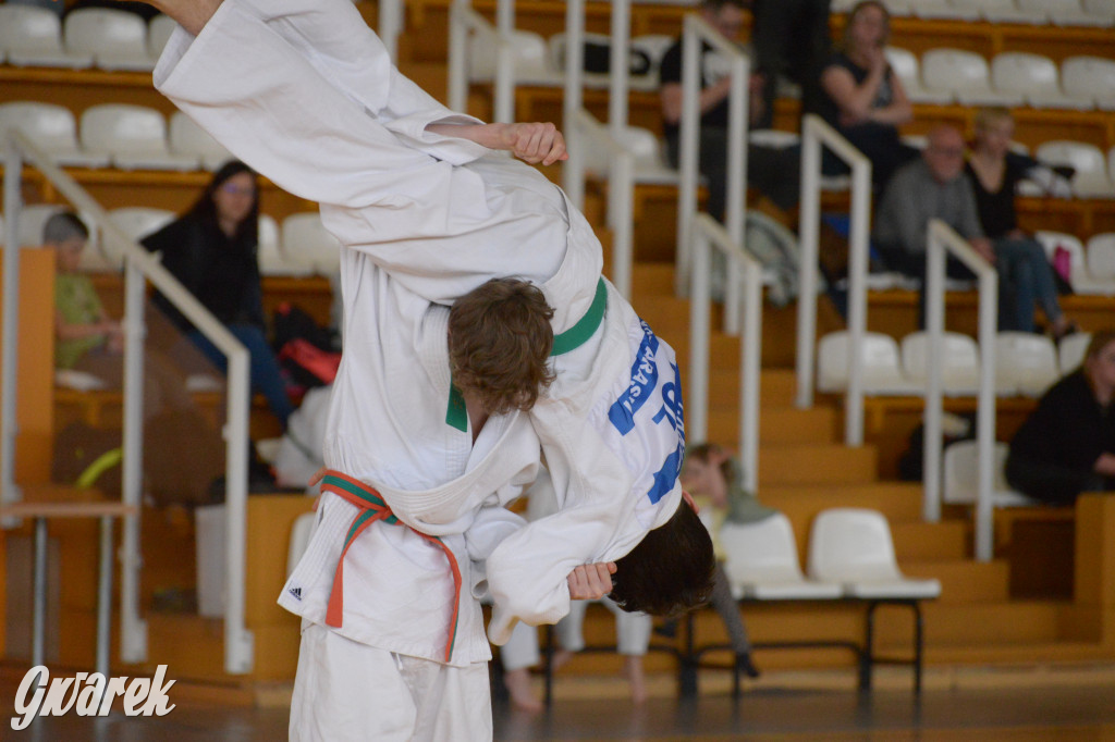 Tarnowskie Góry. Mistrzostwa Śląska Judo Kata