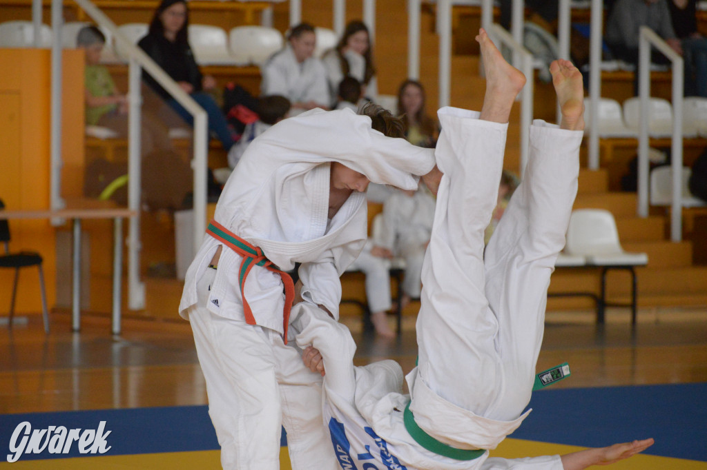 Tarnowskie Góry. Mistrzostwa Śląska Judo Kata