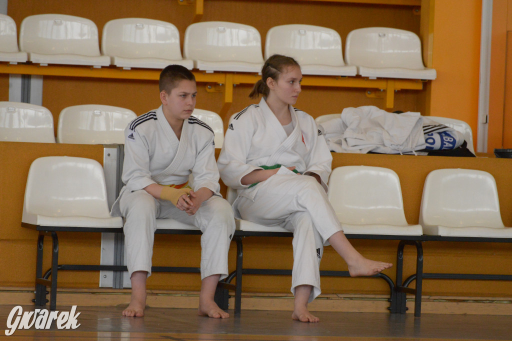 Tarnowskie Góry. Mistrzostwa Śląska Judo Kata