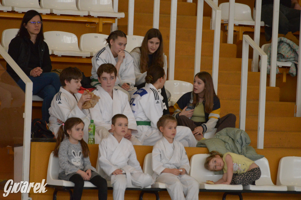 Tarnowskie Góry. Mistrzostwa Śląska Judo Kata