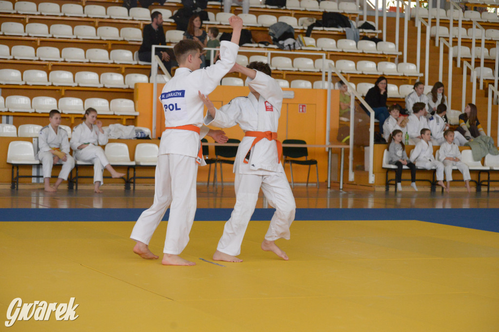 Tarnowskie Góry. Mistrzostwa Śląska Judo Kata