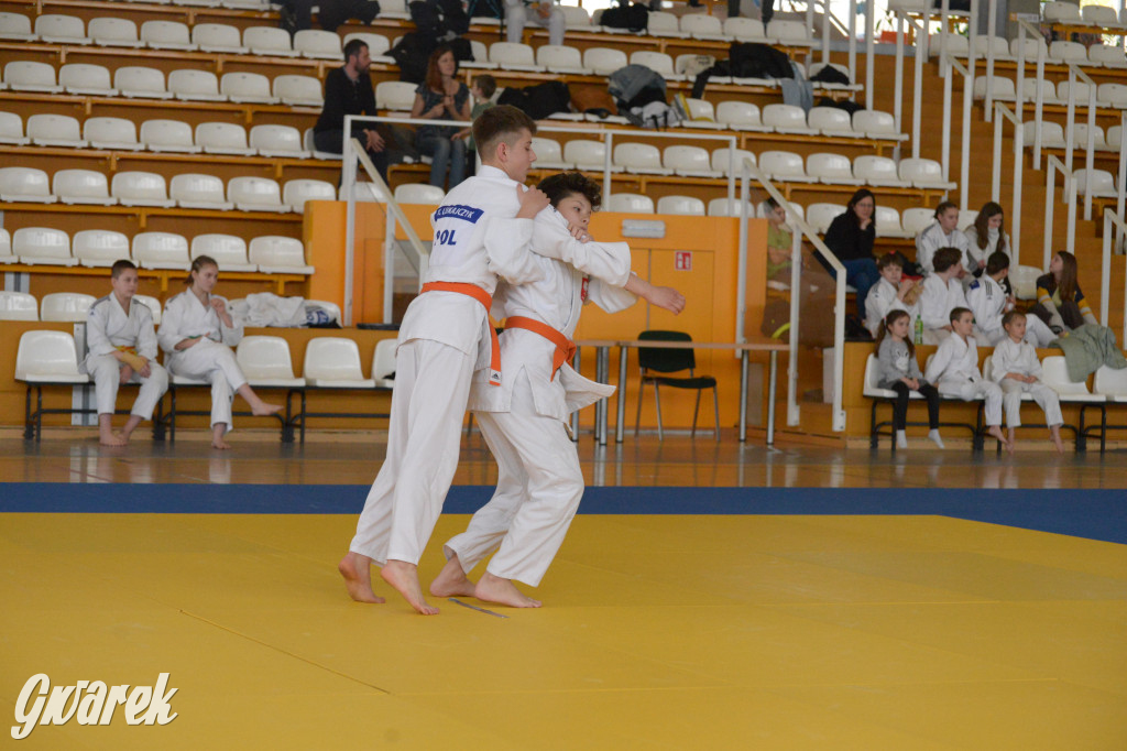 Tarnowskie Góry. Mistrzostwa Śląska Judo Kata