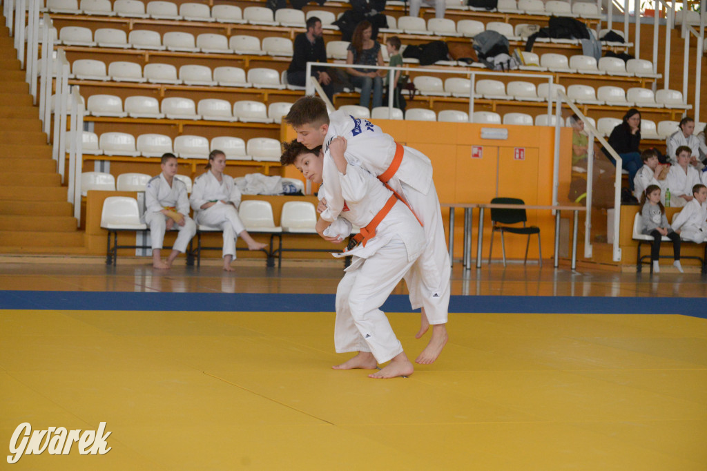 Tarnowskie Góry. Mistrzostwa Śląska Judo Kata