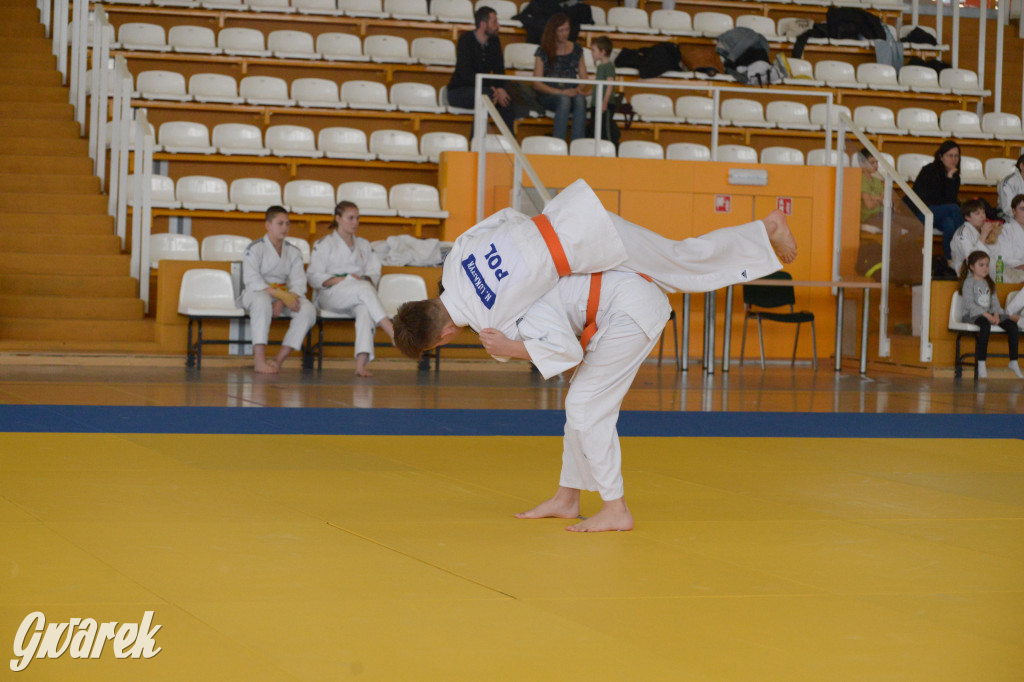 Tarnowskie Góry. Mistrzostwa Śląska Judo Kata