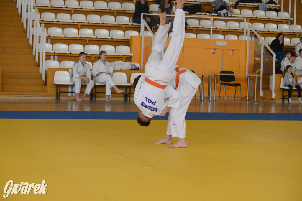 Tarnowskie Góry. Mistrzostwa Śląska Judo Kata