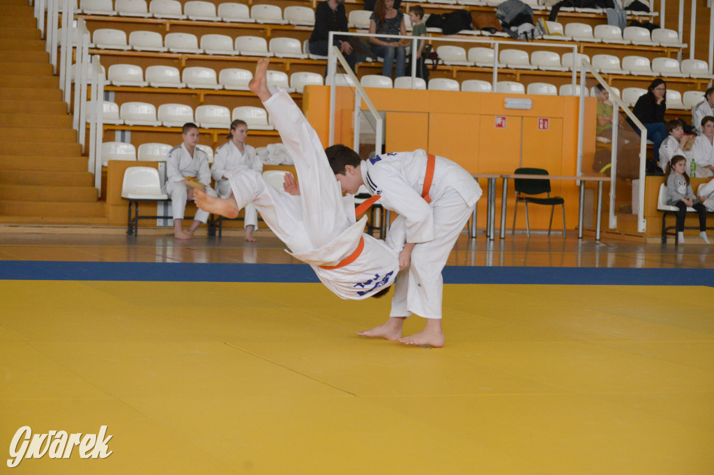 Tarnowskie Góry. Mistrzostwa Śląska Judo Kata