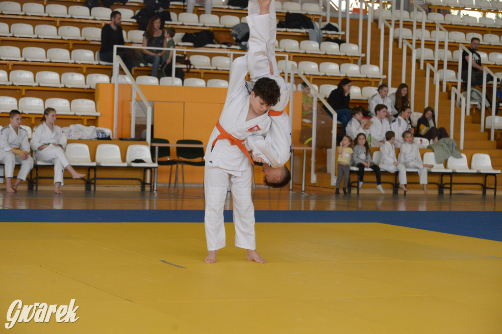 Tarnowskie Góry. Mistrzostwa Śląska Judo Kata