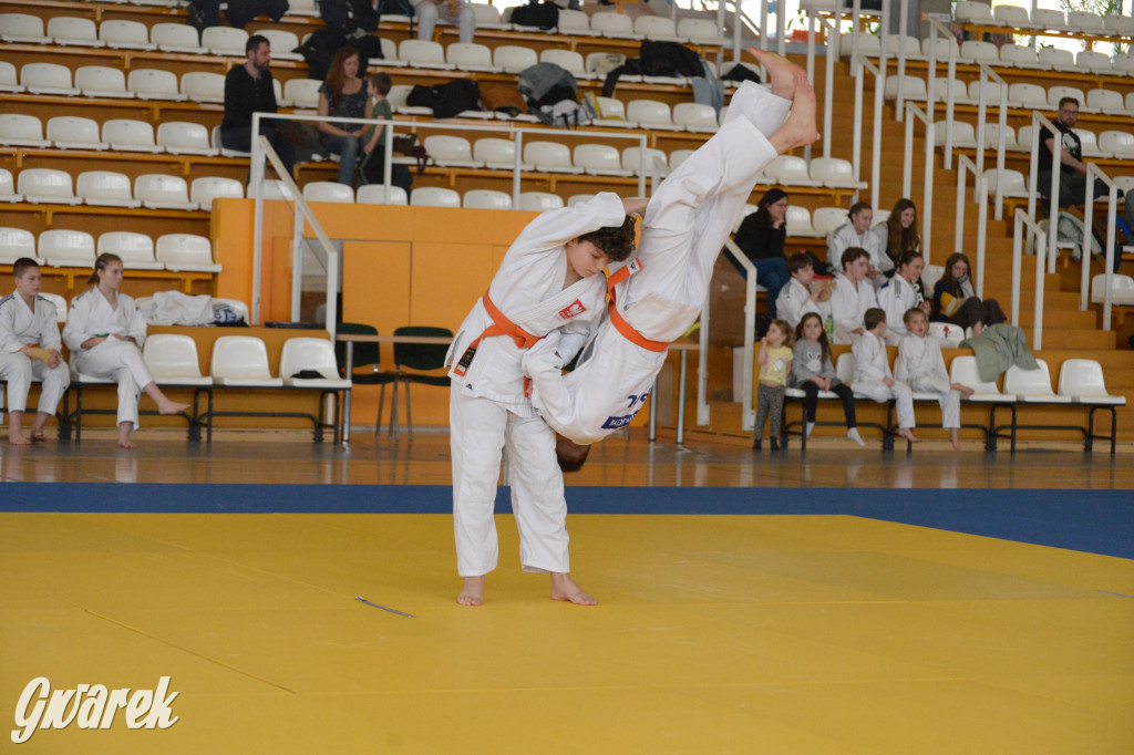 Tarnowskie Góry. Mistrzostwa Śląska Judo Kata